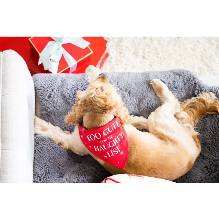 Too Cute Holiday Pet Bandana