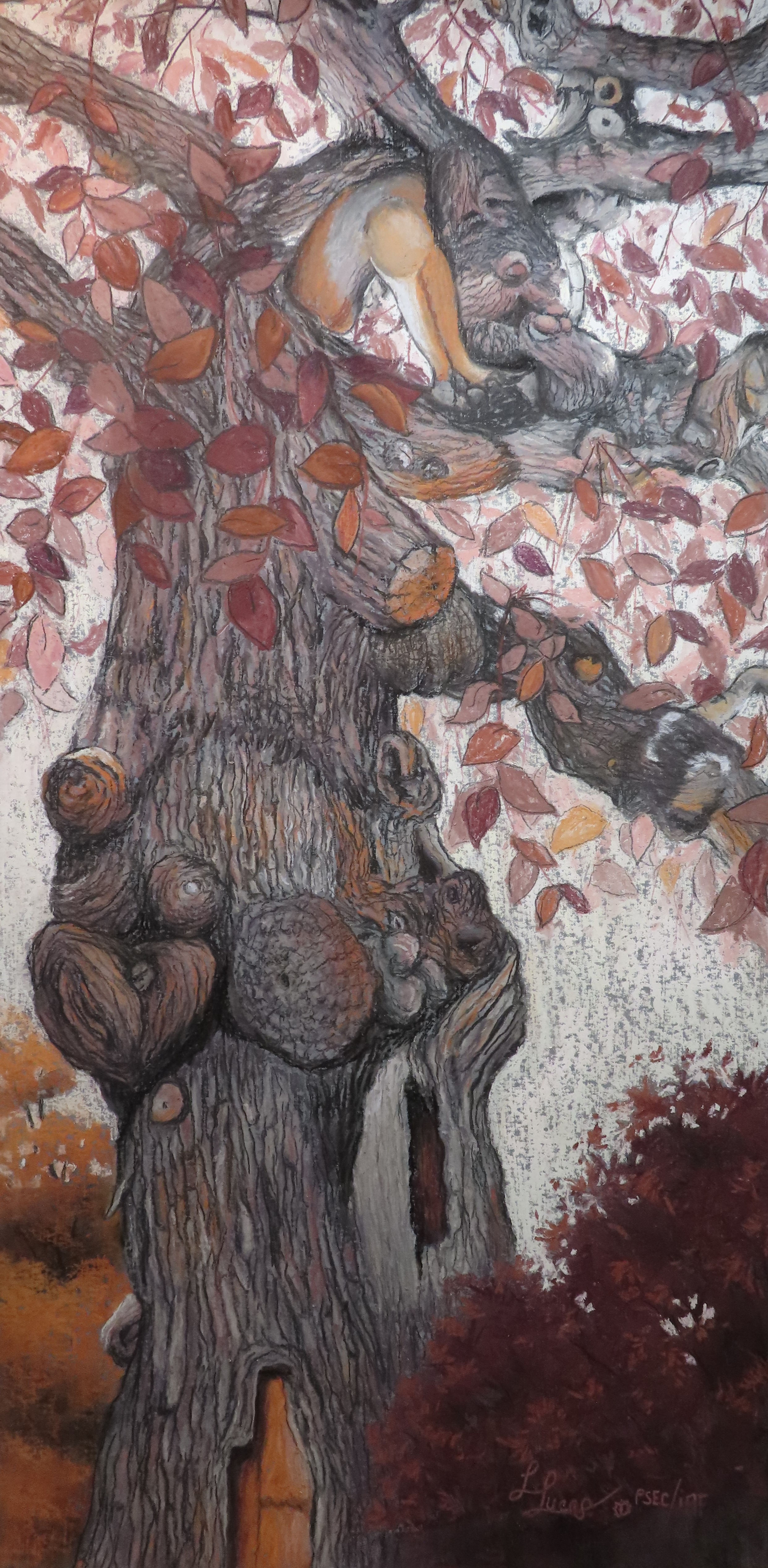 Lucie Lucas - L'arbre multiformes