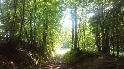 WhatsApp Image 2026-02-04 at 14.06.54.jpeg