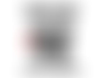 South Side Cruisers Switzerland - aus Spass an US Cars 