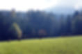 DSC08947.jpg