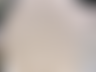 ''PIATTO MADREPERLA''