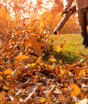 leafblower.jpeg