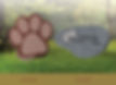 pet_slideshow4