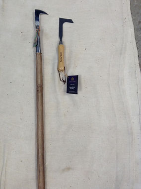 69DCF492-9D6A-425B-87F6-AA34FFD84D60_1_1