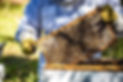 Our Organization x4.jpg