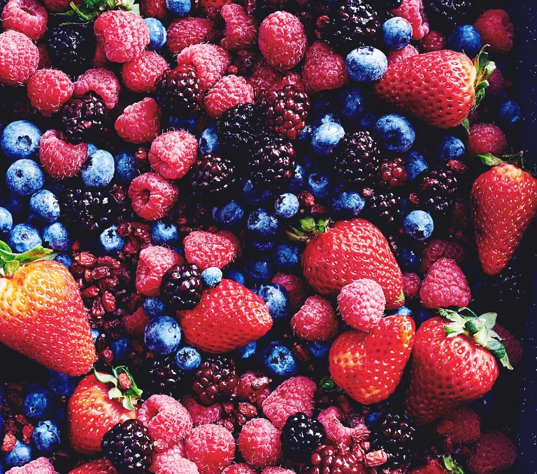 fruits.webp