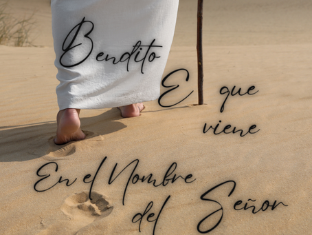 Hossana: La Humildad Triunfante de Nuestro Rey