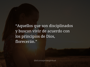 Orando a la luz de Proverbios 29