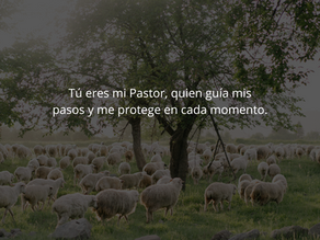 Descansa con el Pastor de Tu Alma