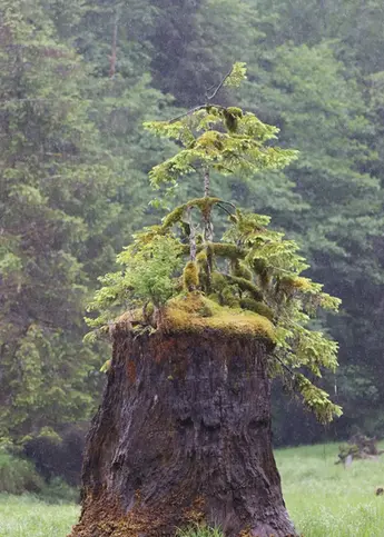 Eco-cultural tourism