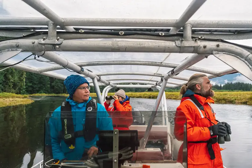 Eco-friendly bear watching