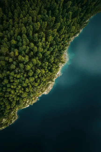 DJI_0178.webp