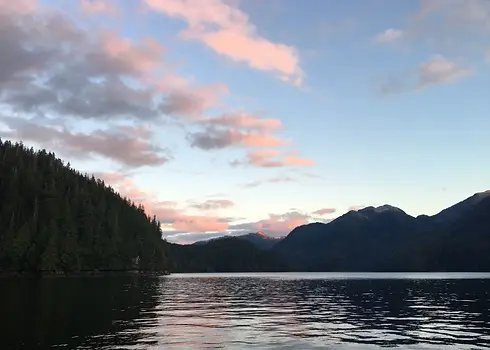 Wildlife viewing in Canada