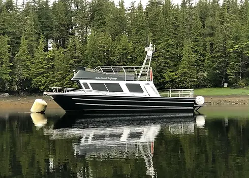 Rain Coast Explorer Boat