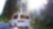 AA0256.00_00_13_17.Still001.jpg
