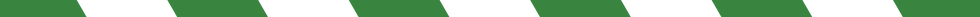 Green Lines_edited.png