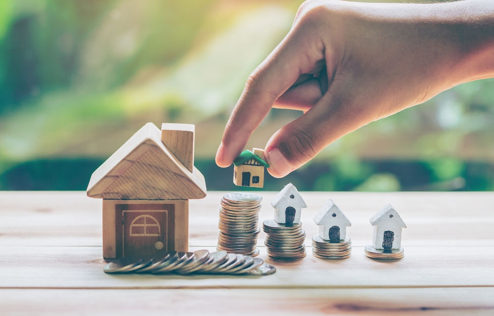 houses on money.jpeg