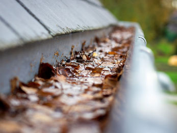 A gutter clogged with leaves and dirty water.