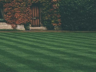 Manicured green lawn with striped pattern, bordered by ivy-covered stone building and wooden doors. A historic setting.