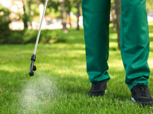 Person in green pants spraying pesticide on grass in a sunny park. Mist from spray creates a subtle fog effect.