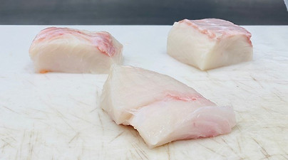 halibut 2.jpg