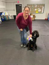 Jade earning her AKC puppy STAR