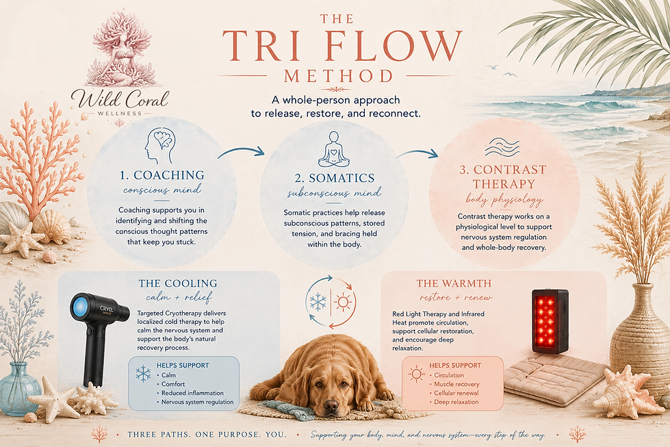 tri flow infographic with logo.png