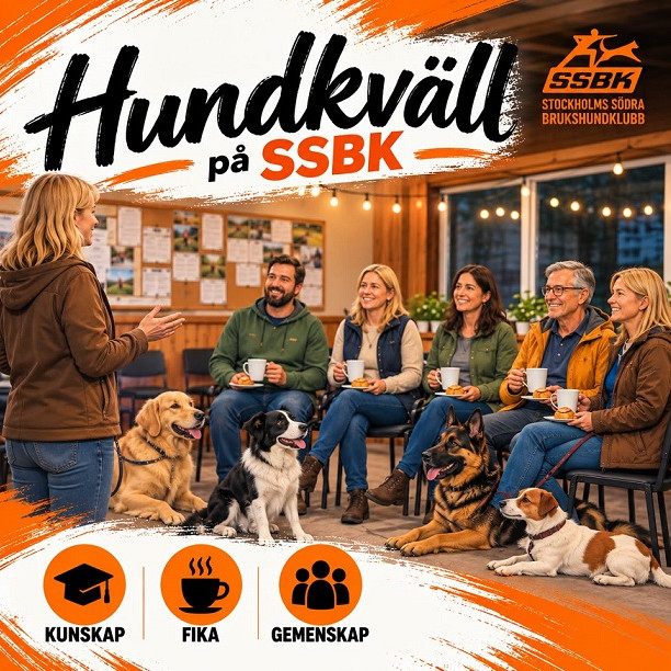 hundkväll_2.jpg