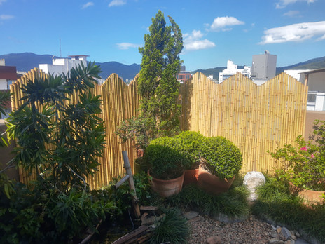 IMG_20210310_150247491_HDR.JPEG