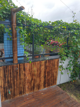 IMG_20201023_094026039_HDR.JPEG
