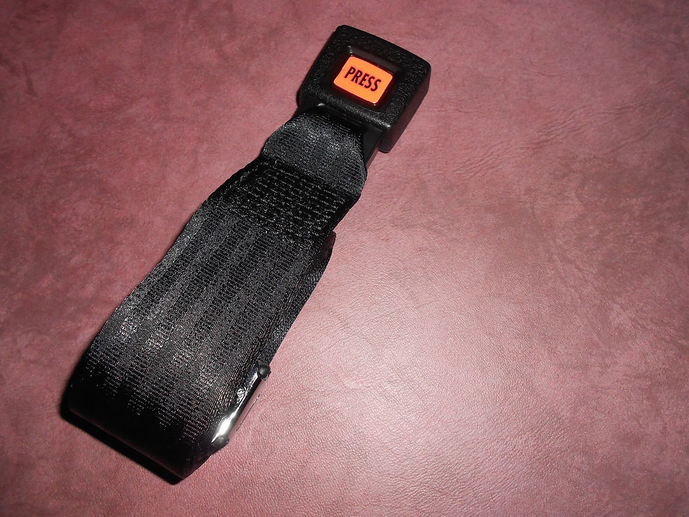 Seat Belt