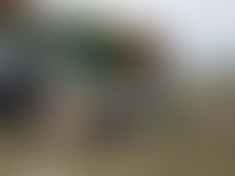 ボーイズカップに向けて