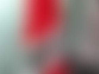 ニューアイテム