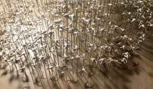 murmuration_header