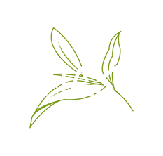 NAK Taiwan Tea logo with green tea leaf design