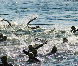 Open Water Endurance Training Plans by Speedy Swimming, Surrey Triathlon Swim Coaching
