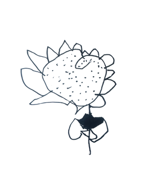 Untitled design (11).png