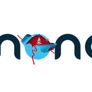 Unwrapping the Future: A Sparkling Seasonal Spin for 2025