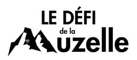 Logo DM noir fond transparent.png