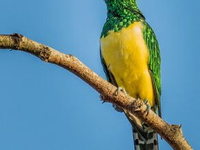 Review of Sunset Lodge, Kuleni Game Park