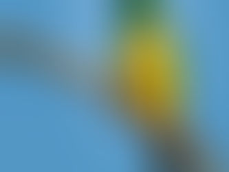 Review of Sunset Lodge, Kuleni Game Park