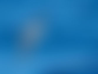 Seabird Identification Resources