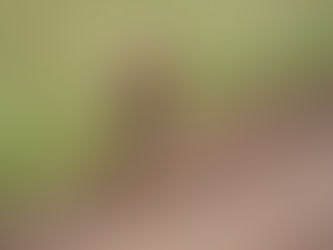 Magical Kruger - Remembering a Week in Paradise Pt 2/2