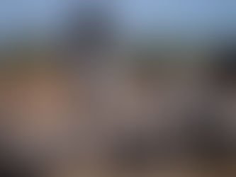 Mzimkulu Vulture Hide - Getting close to the giants of the skies