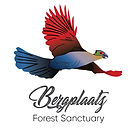 Bergplaatz logo colour-01.jpg