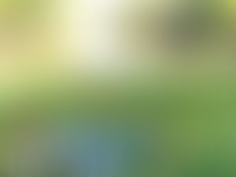 A Quick Guide to Birding Safely