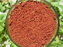 GROUND PINK PEPPER