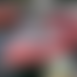 New vinyl graphics installed by Innovative Wraps