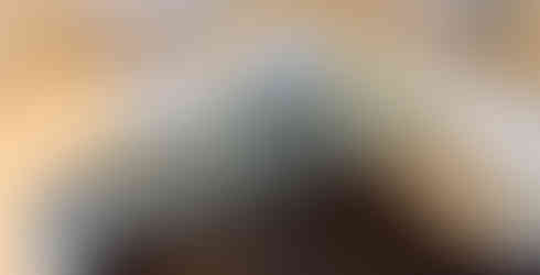 PPF Interior wrap on motor yacht in sydney.